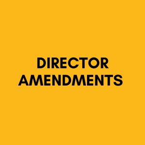 Director Amendments