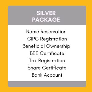 Company Registration - Silver