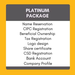 Company Registration - Platinum